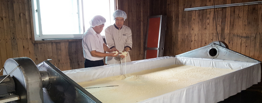 Sejong Ricewine 조은술 세종 양조장
